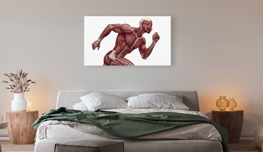 Power in Motion — Runner Muscular Anatomy Illustration by MotivatePrints