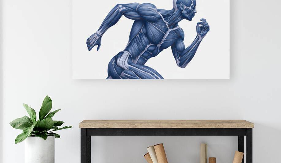 Cobalt Sprint — Muscular Anatomy in Motion by MotivatePrints