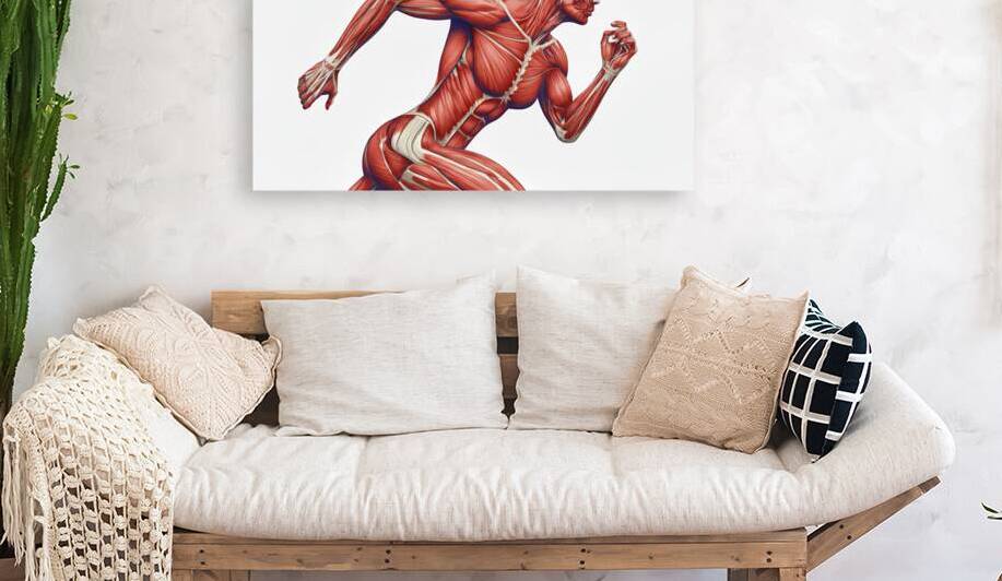 Power in Motion — Female Runner Muscular Anatomy by MotivatePrints