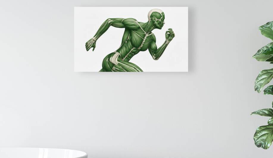 Human Muscle Anatomy in Motion –Greenback Female Energy Runner by MotivatePrints