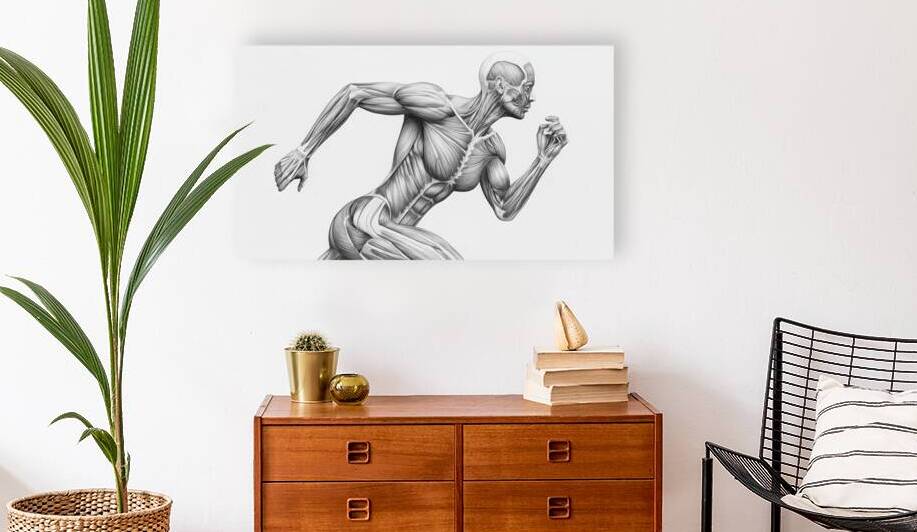 Monochrome Human Muscle Anatomy – Female Runner in Motion by MotivatePrints