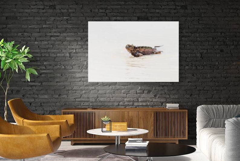 galapagos marine lizard or iguana walking through shallow water on white sand beach by Ad Gr