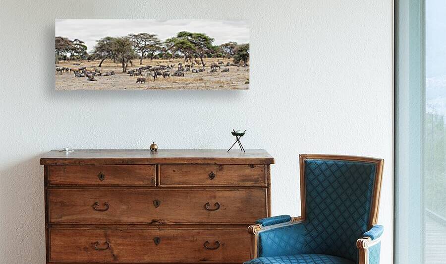 Wildebeest & Warthogs  by Ricky A Richardson 