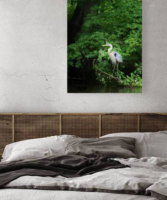 Great Blue Heron  by Ricky A Richardson 