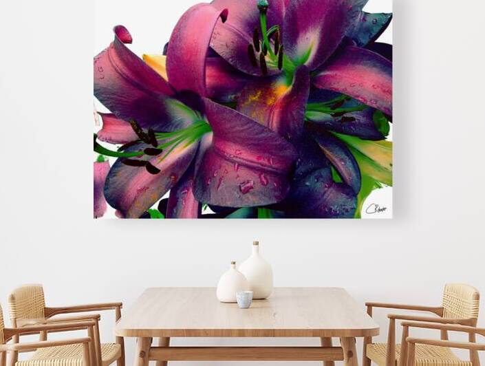 Rich Summer Lily Flowers by Catriona Roberts Nature Photography and Designs