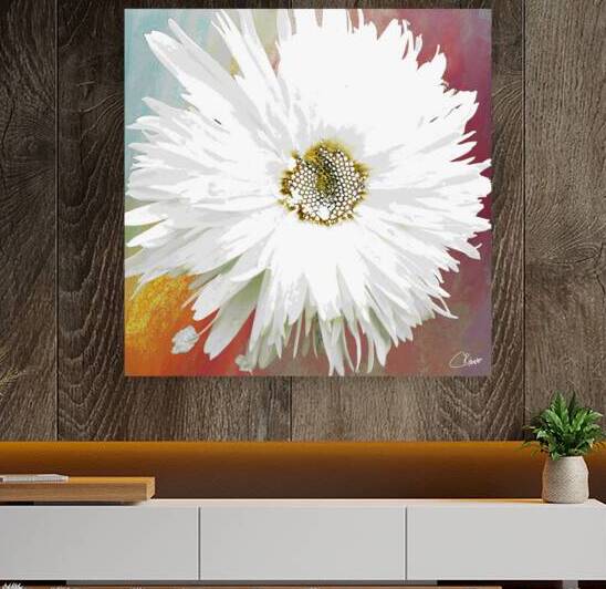 Abstract Daisy Close Up by Catriona Roberts Nature Photography and Designs