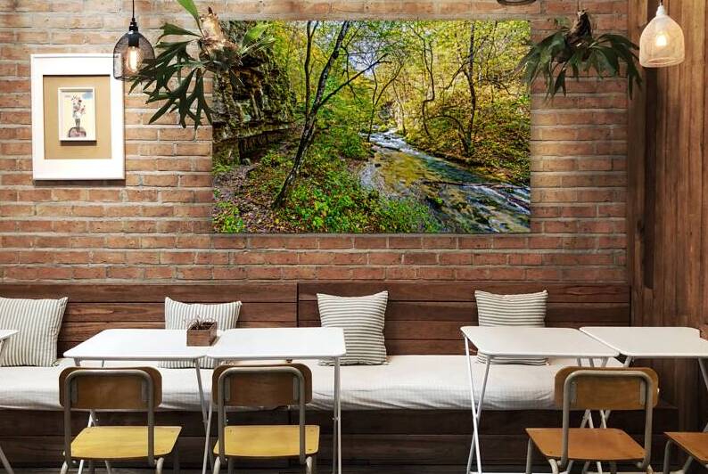 Creekside Trail At Greer Spring by Jennifer White