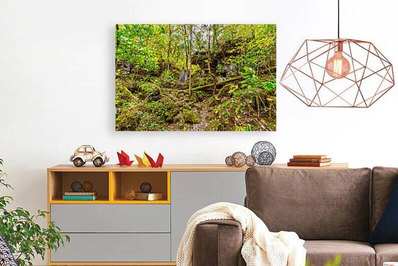 Stairs To Greer Spring Rugged Path by Jennifer White