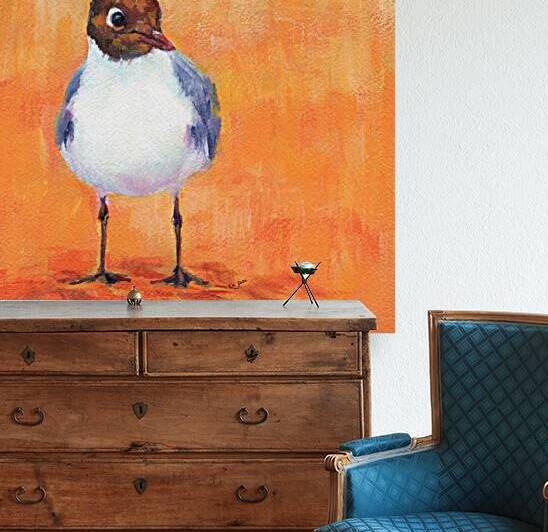 Black headed gull at the sandy beach by Karen Kaspar