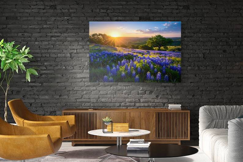 Texas Bluebonnets at Sunrise by Shelia Hunt Photography