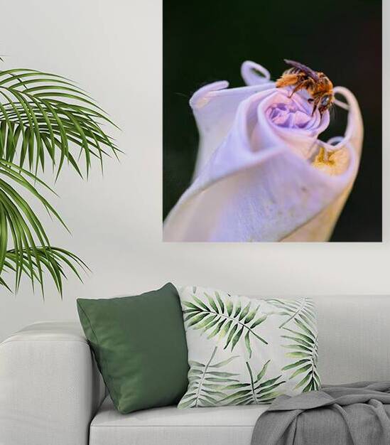 Bee On Moonflower I by Robert Brown Photography