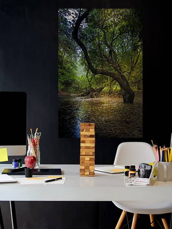 Mysterious Forest Clearing by Norma Brandsberg Photography