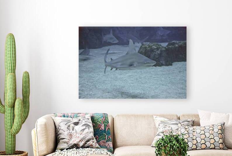 Jaded by DeepEarth Photography