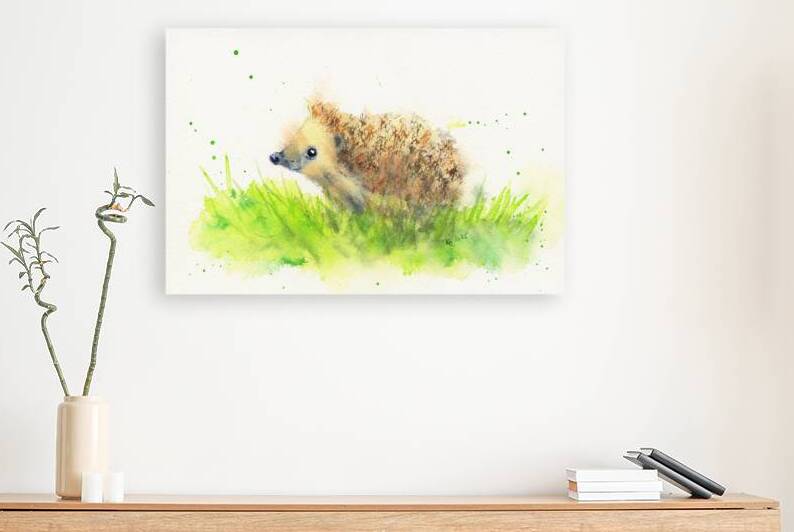 Curious little hedgehog in the meadow watercolor painting by Karen Kaspar