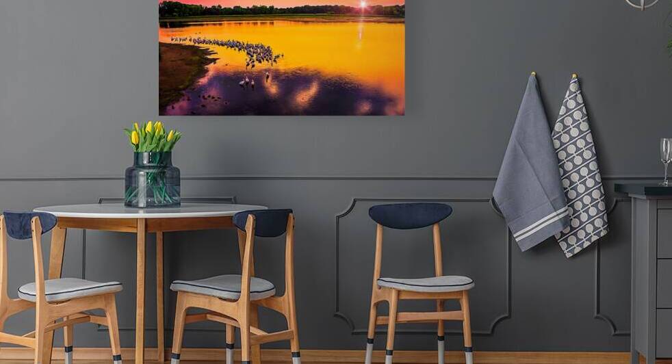 Rice Lake Pelicans by UpThereAgain Photography