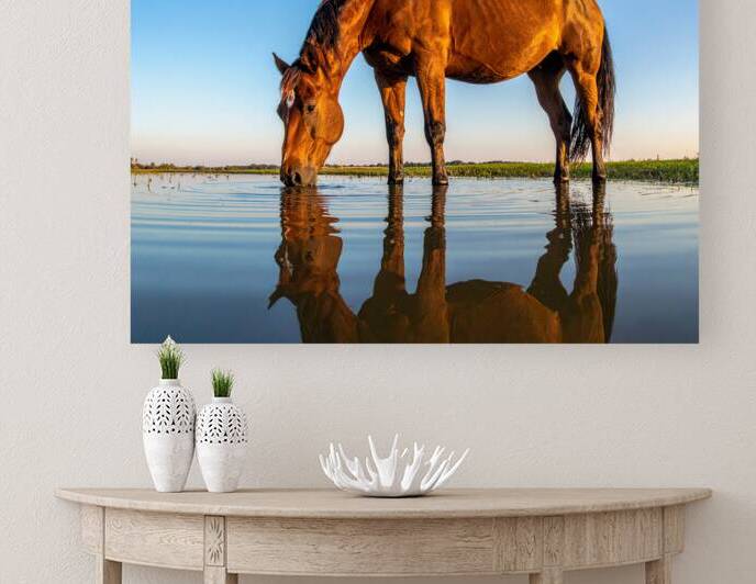 Whispers of Stillness – Cherokee Lake by Shelia Hunt Photography