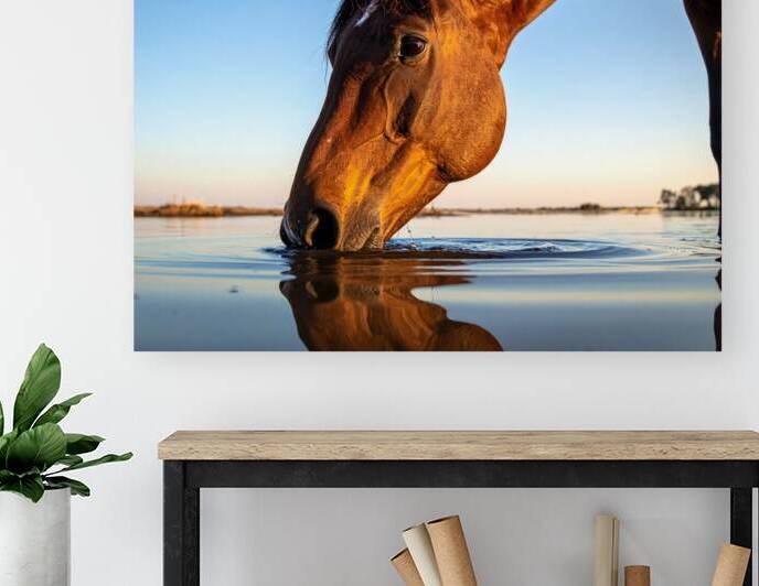 Tranquil Reflections – Graceful Horse by Shelia Hunt Photography