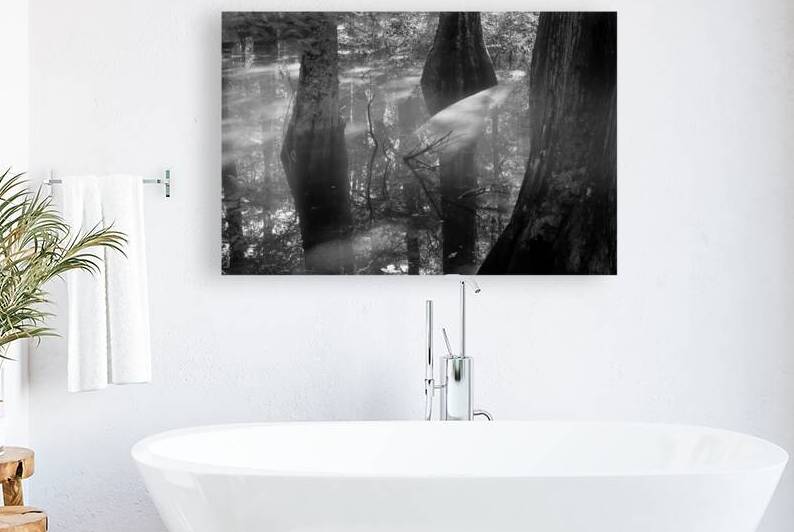 Virginia Beach Mysterious Cypress Swamp by Norma Brandsberg Photography