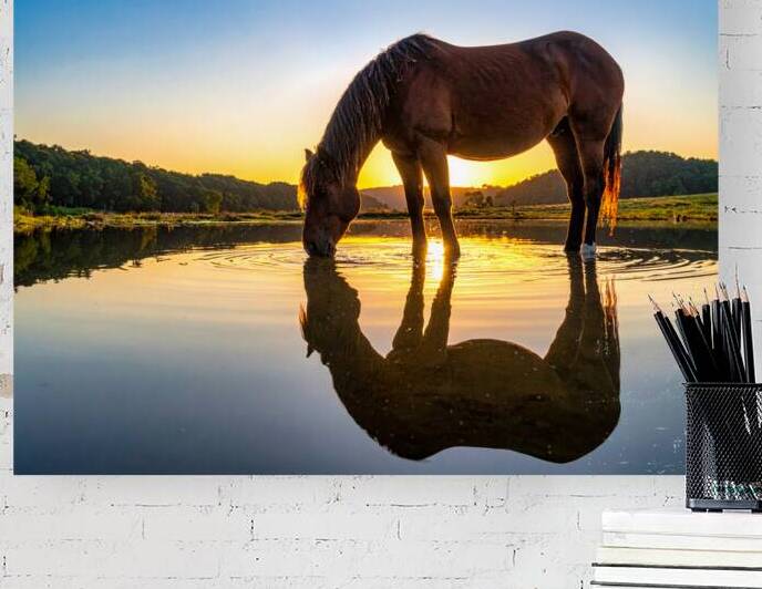 Golden Dawn Reflections – Horse at Cherokee Lake by Shelia Hunt Photography