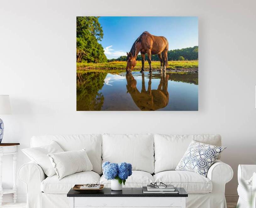 Evening Calm – Gentle Horse Beside Cherokee Lake by Shelia Hunt Photography