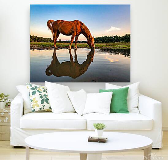 Twilight Serenity – Majestic Horse by Shelia Hunt Photography