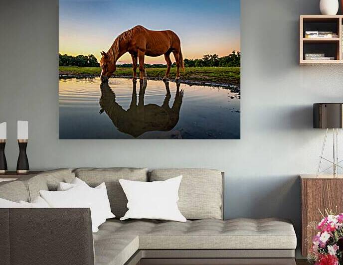 Twilight Serenity – Horse at Cherokee Lake by Shelia Hunt Photography