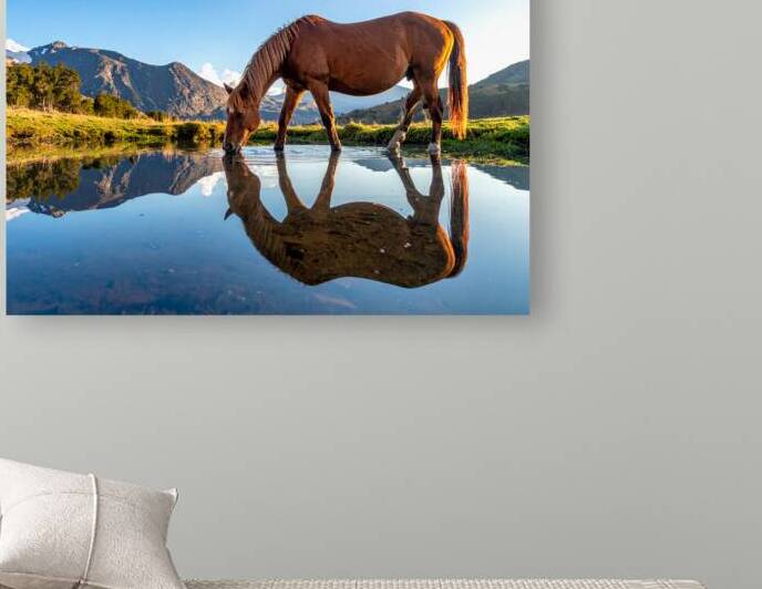 Mountain Reflections – Horse by Calm Water by Shelia Hunt Photography