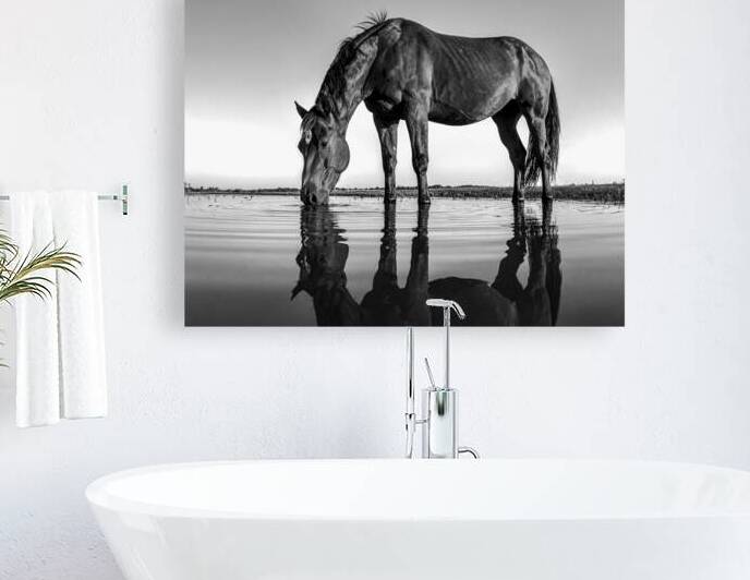 Graceful Horse by Cherokee Lake in East Tennessee by Shelia Hunt Photography