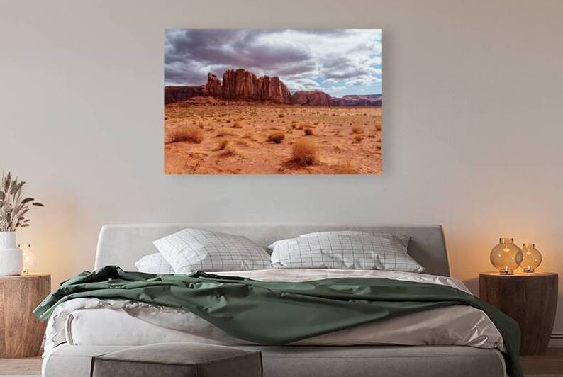 Camel Butte And Thumb Monument Valley by Jennifer White