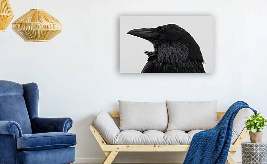 The Raven V by Robert Brown Photography