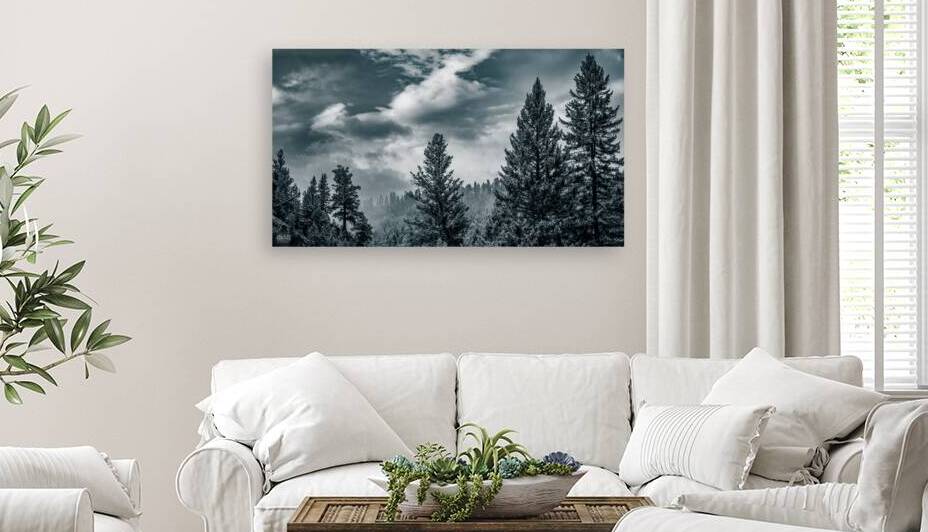 Autum Skies by Nate Solo