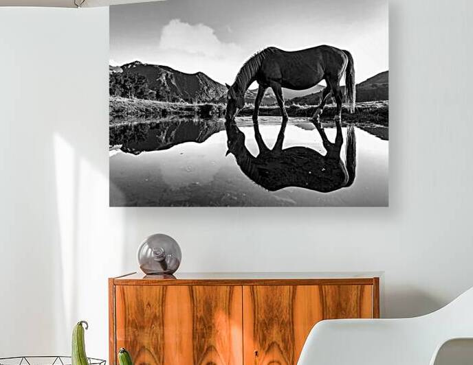 Echoes of the Rockies – Horse by Mountain Lake by Shelia Hunt Photography