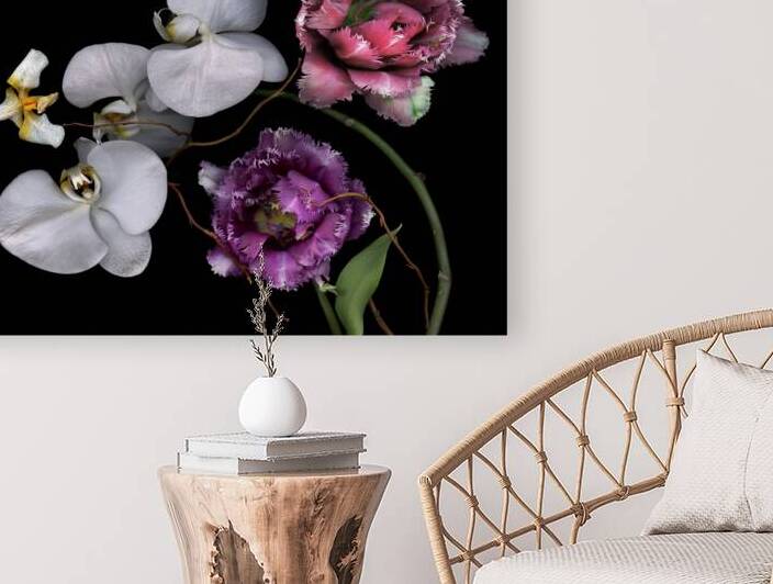 Fringed Tulips and Moth Orchid by Jane Baron