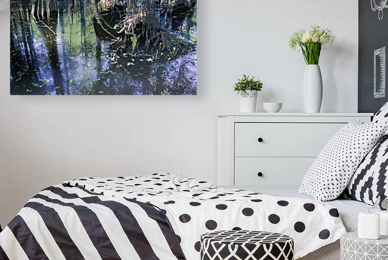 Ethereal Cypress Tree Morning  Reflections by Norma Brandsberg Photography