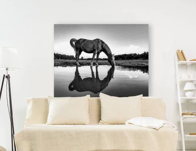 Shades of Serenity at Cherokee Lake by Shelia Hunt Photography