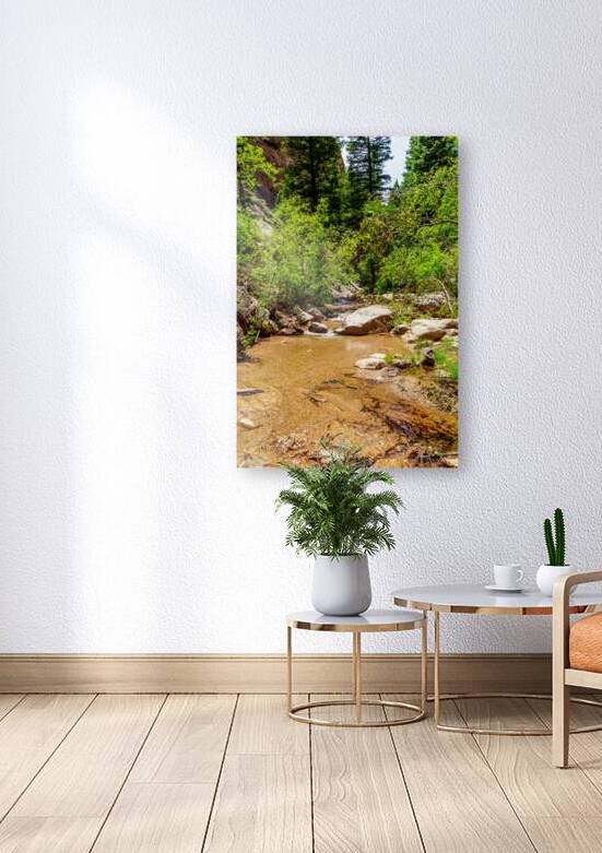 Vertical Creek South Cheyenne Canyon by Jennifer White