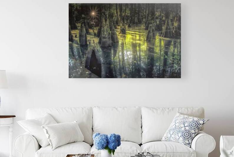 First Landing Park Sunrise by Norma Brandsberg Photography