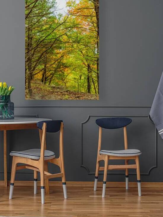 Whispers Of Autumn In The Forest by Jennifer White