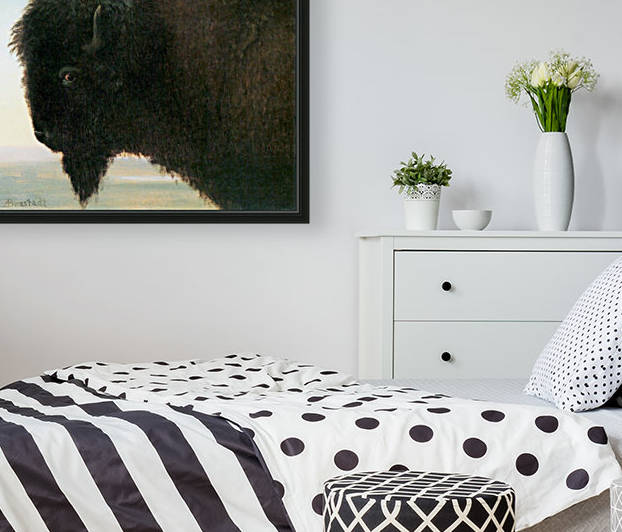 Buffalo Head by Bierstadt