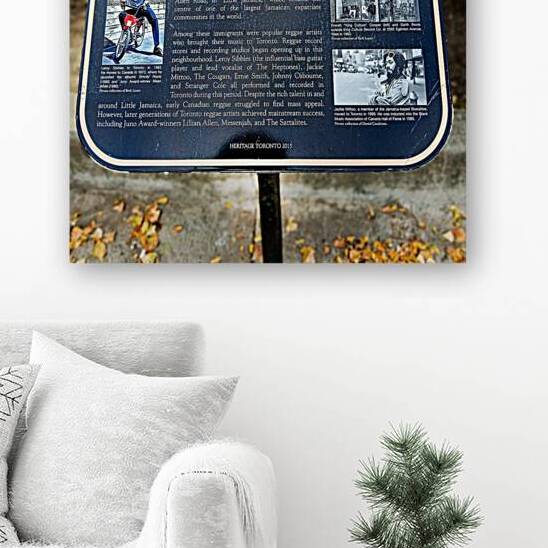 Torontos Raggae Roots by Thea Menagh