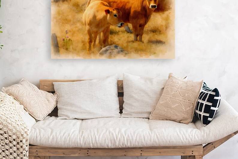 two aubrac calves golden pasture french watercolo by M ALK