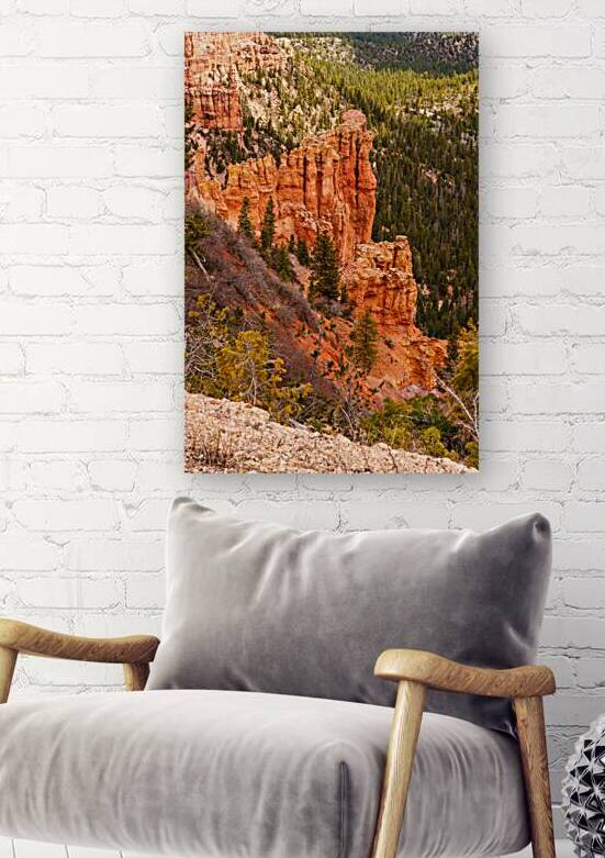 Yovimpa Point Cliff View Bryce Canyon by Jennifer White