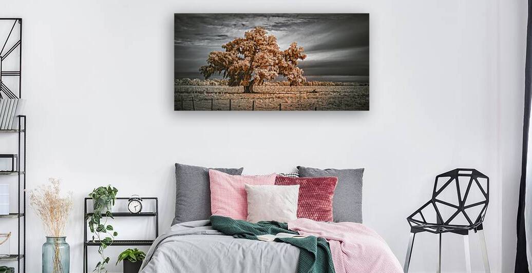 Guardian of the Bayou Country by Dream World Images