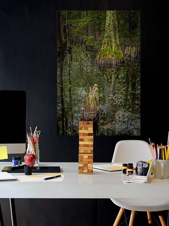 Cypress Tree Swamp Knees by Norma Brandsberg Photography