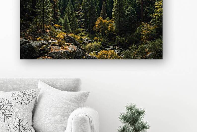 forest landscape 1 by Infinite Wall Art