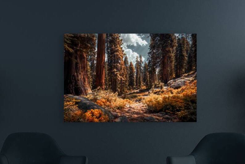 forest landscape 2 by Infinite Wall Art