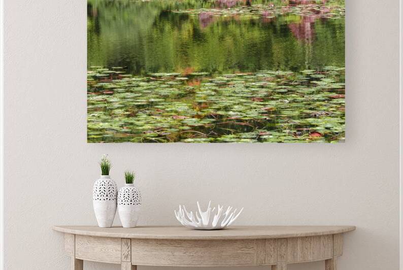 Pennsylvania Pond Reflections by Thea Menagh