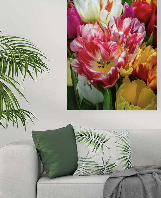 Perennial Herbaceous Bulbiferous Geophytes by Thea Menagh