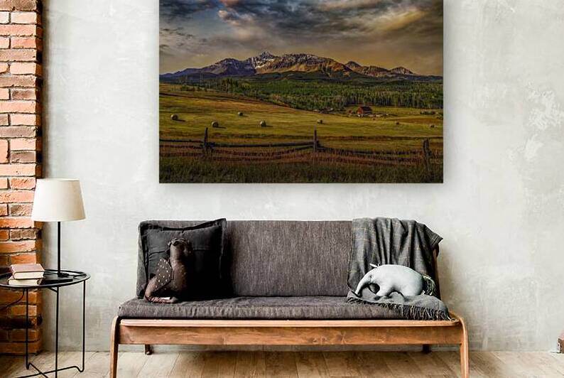 Winters Feed by Susan Humphrey Art