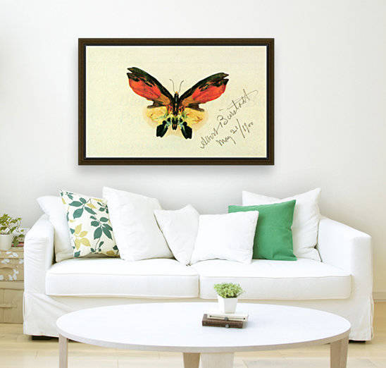 Butterfly 2 by Bierstadt